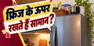 फ्रिज के ऊपर ये चीजें रखना पड़ सकता है भारी! कहीं आप भी तो नहीं कर रहे ये गलती? Fridge Tips