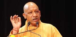फ्री गैस सिलेंडर और आंगनवाड़ी कर्मियों के लिए CM योगी का बड़ा तोहफा, कैबिनेट में लिए दो बड़े फैसलें UP News