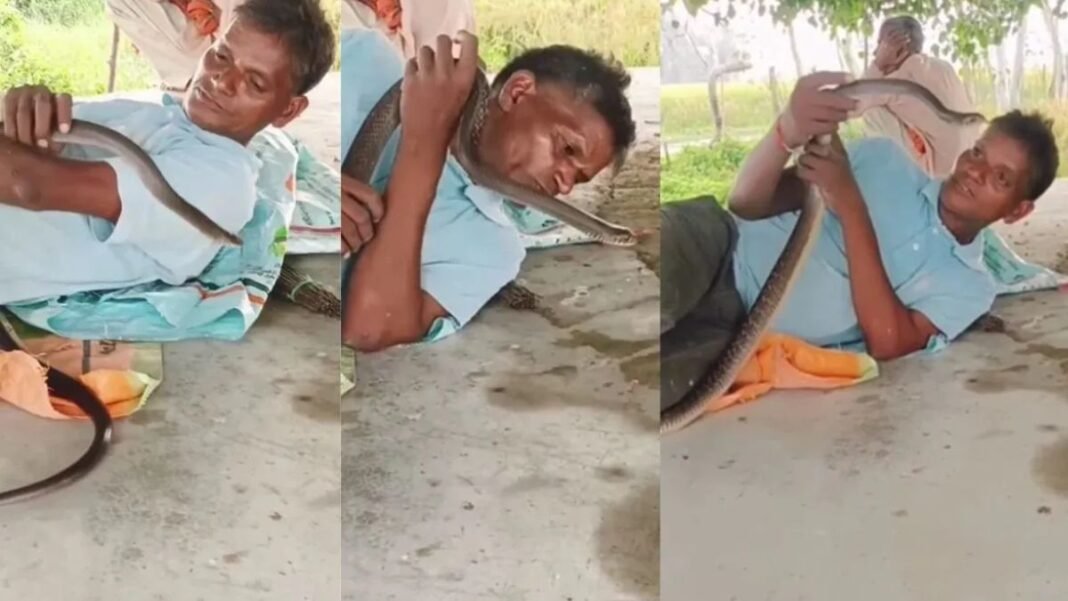 नागिन को हाथ में लेकर कर रहा था खेल, अचानक हुआ ऐसा कि चली गई जान… वीडियो वायरल नागिन