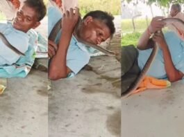 नागिन