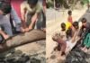 हाथ लगाते ही उखड़ गई नई सड़क! विधायक के सामने ग्रामीणों ने खोली पोल, DM ने बताई पूरी वजह DM